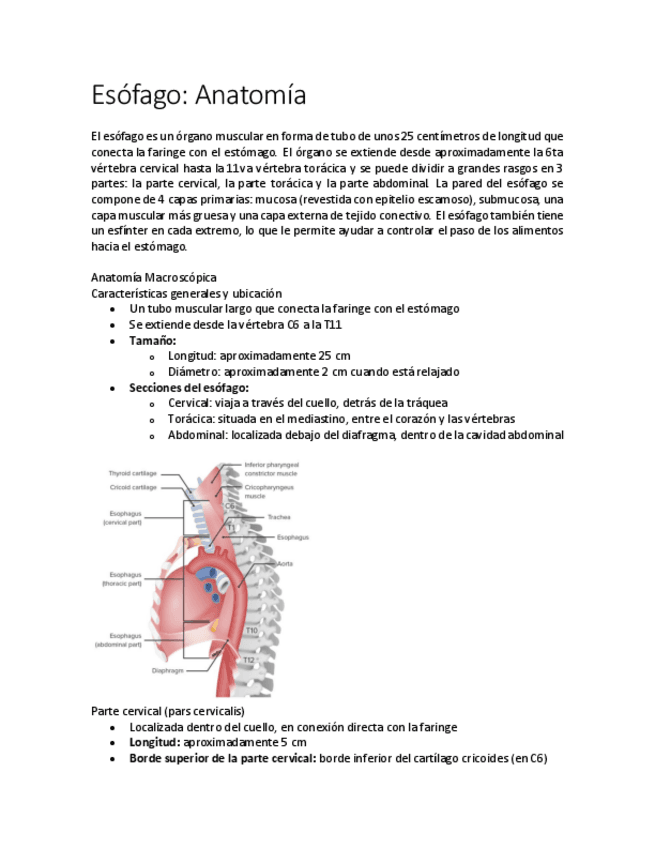 Esofago.pdf