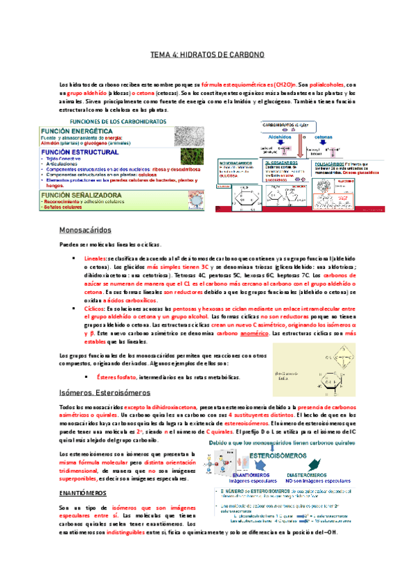 TEMA-4.pdf