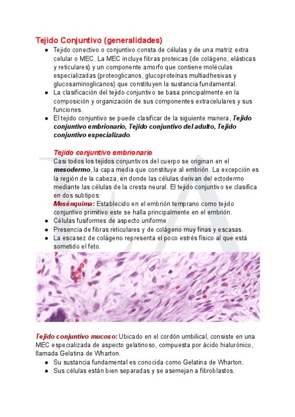 Generalidades-del-tejido-conjuntivoT.C-especializados.pdf