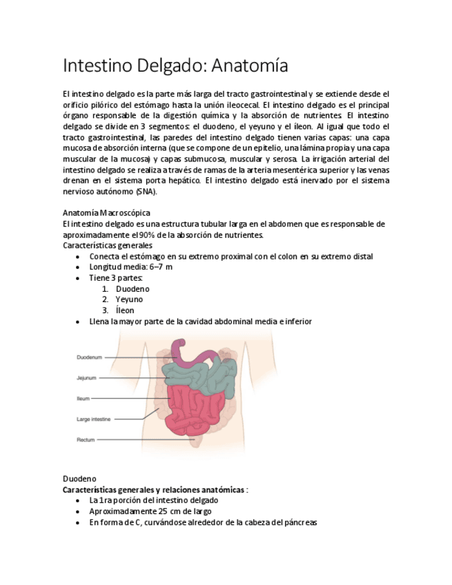Intestino-Delgado.pdf