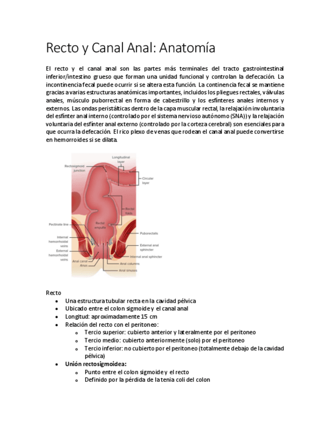 Recto-y-Canal-Anal.pdf