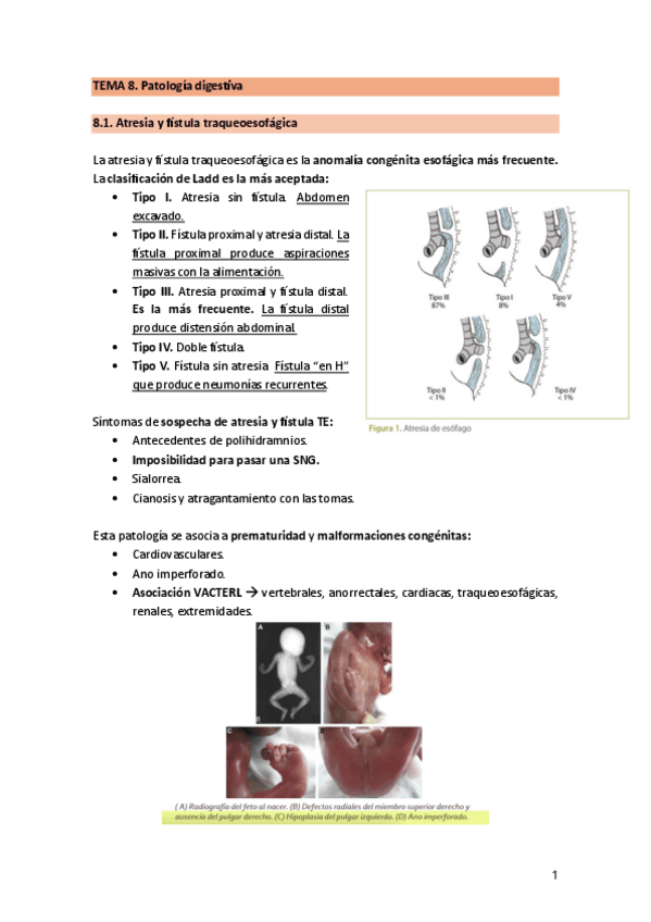 TEMA-8.-PatologiaDigestiva.pdf