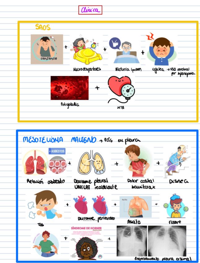 sintomas-enfermedades-neumo-visualmente.pdf