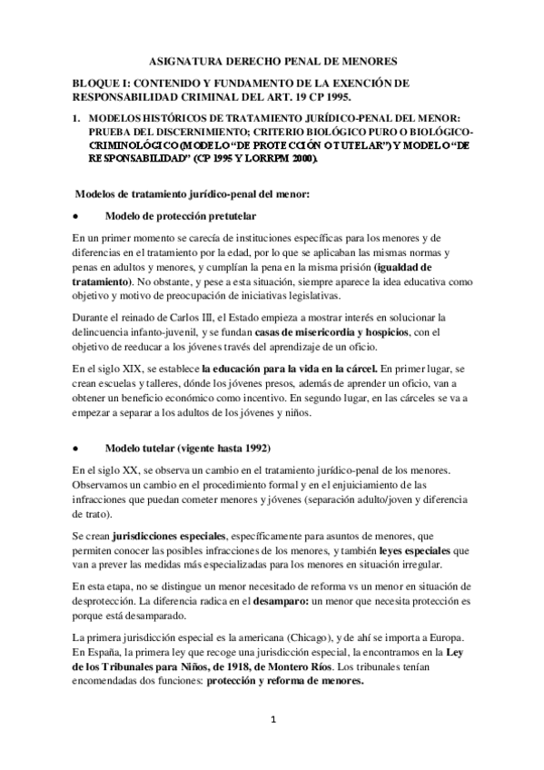 Apuntes-Derecho-Penal-de-Menores..pdf