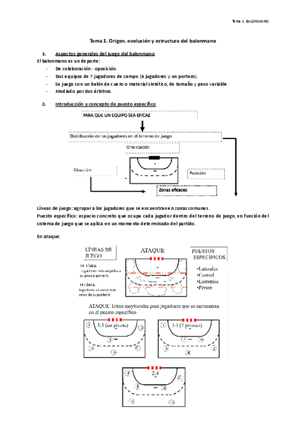 Tema-1.-Origen-evolucion-y-estructura-del-balonmano.pdf