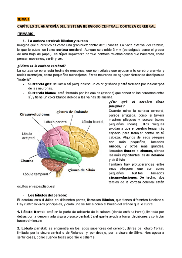 APUNTES-BOFAL.pdf