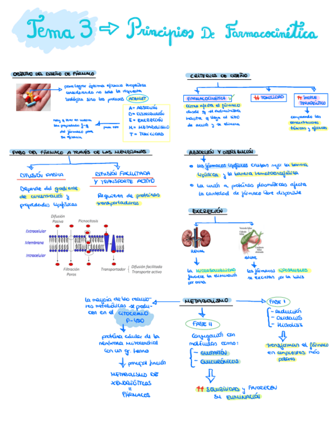 TEMA-3-PRINCIPIOS-DE-FARMACOCINETICA.pdf