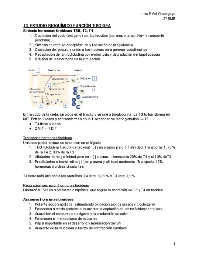 T13-ESTUDIO-BIOQUIMICO-FUNCION-TIROIDEA.pdf