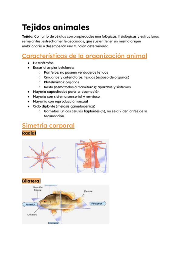 Tejidos-animales-T5-BIOCEL.pdf
