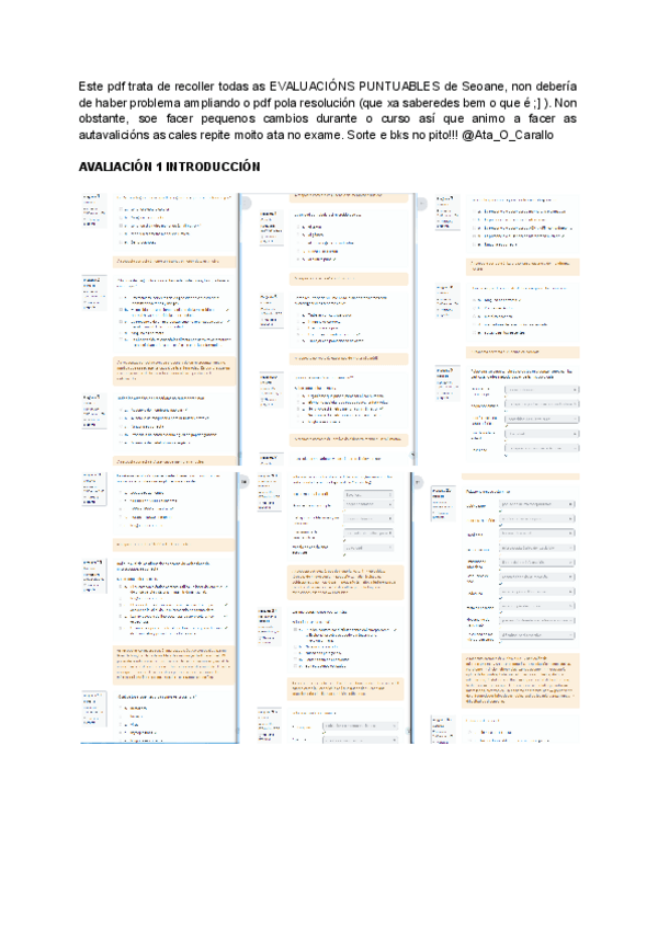 EVALUACIONS-PUNTUABLES-SEOANE.pdf