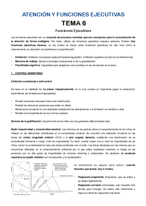 Atencion-tema-6.pdf