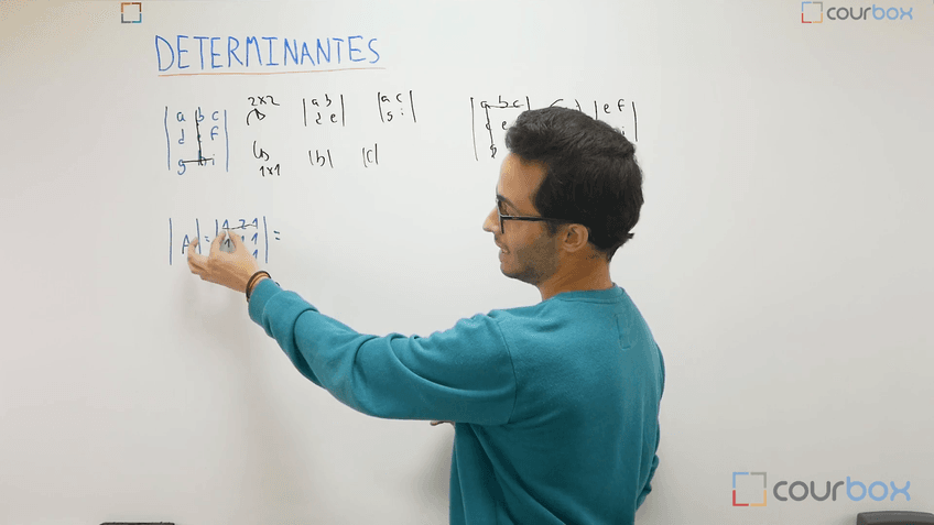 Lección 5 - Calculo-por-adjuntos.mp4