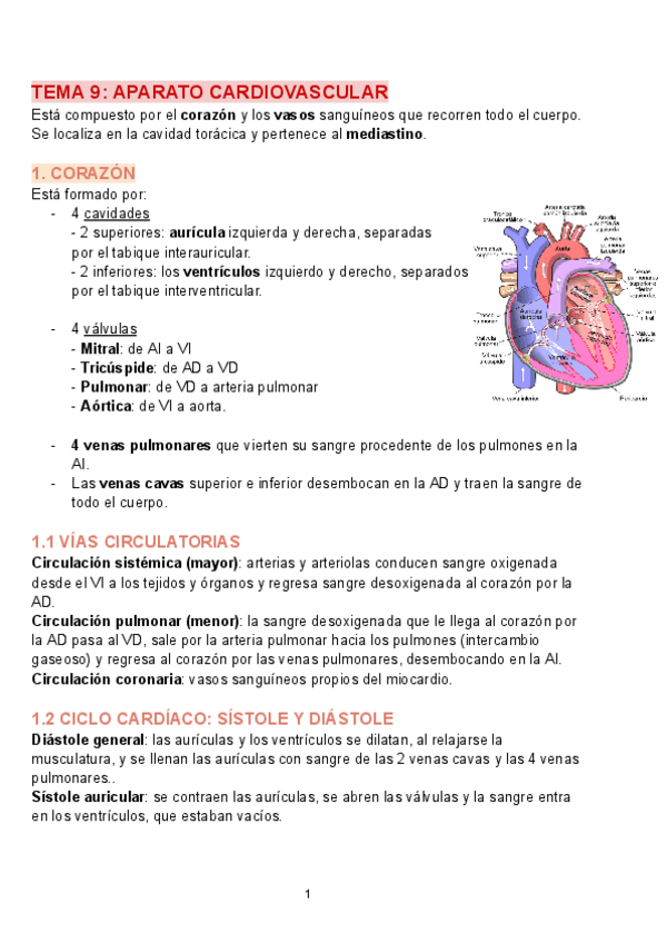 TEMA-9-ANATOMIA.pdf