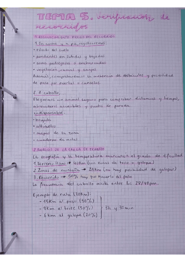 apuntes-temas-5-y-6-guia-ecuestre.pdf