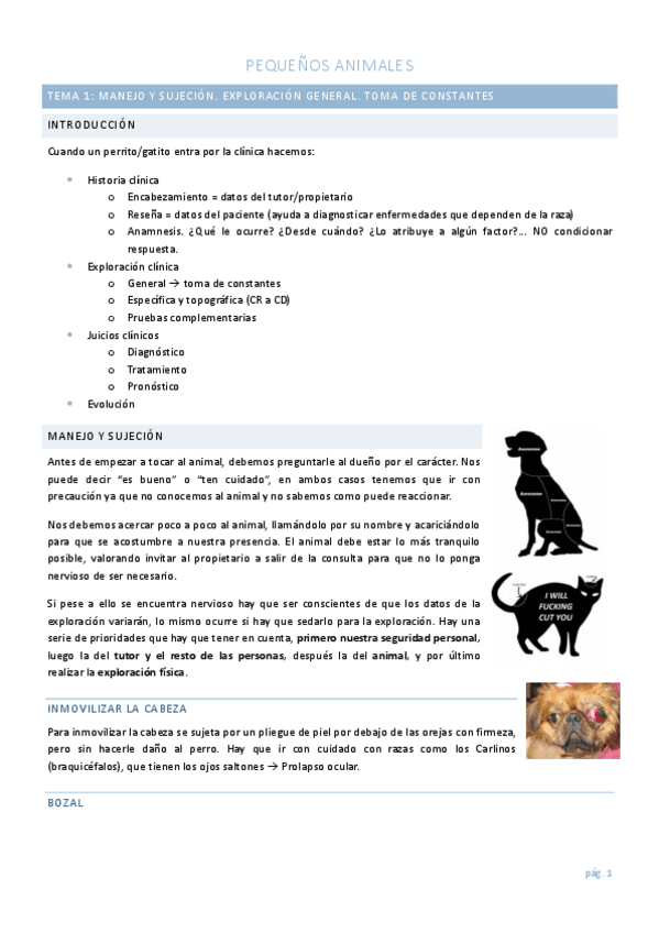 Propedeutica-Pequenos-Animales.pdf