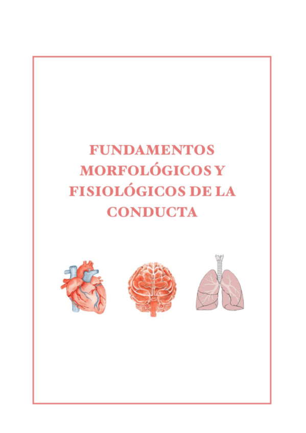Morfologicos-TODO.pdf