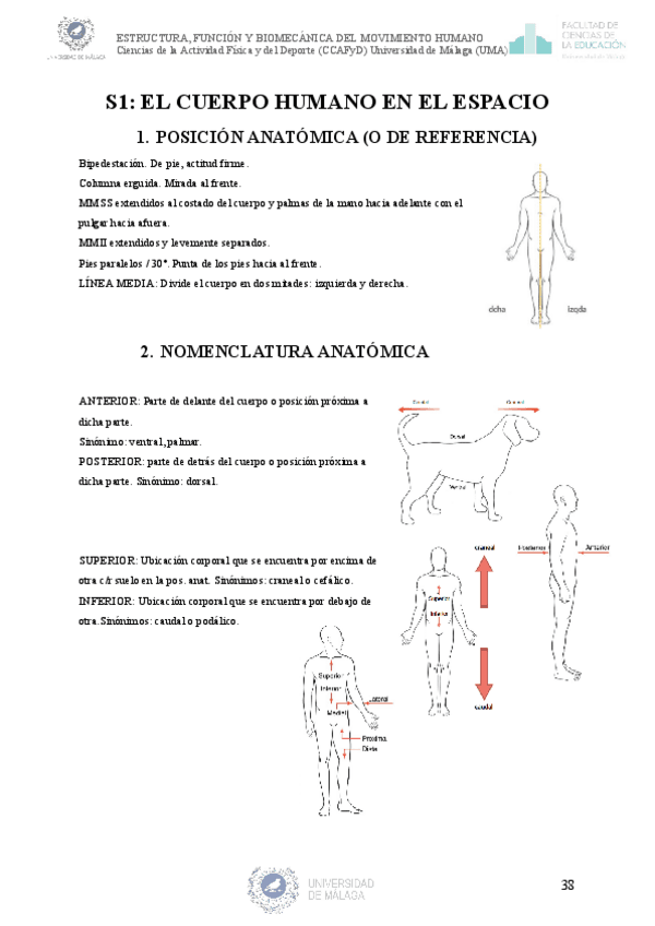 SEMINARIOS-ESTRUCTURA-FUNCION-Y-BIOMECANICA-DEL-MOVIMENTO-HUMANO.pdf