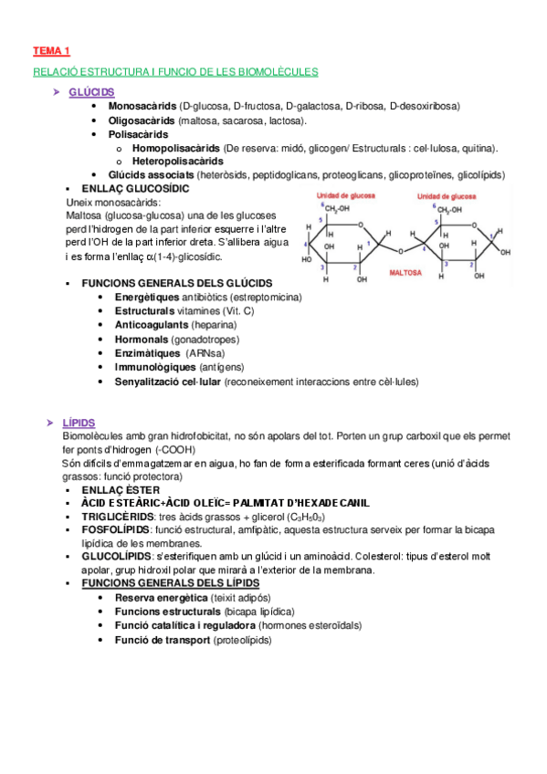 BIOQUIMICApdf.pdf