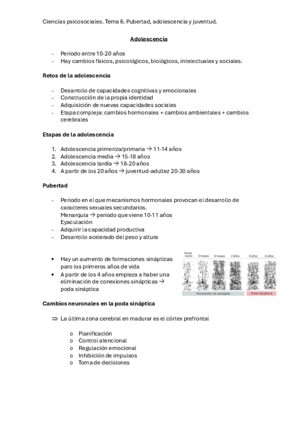 Tema-6.-Pubertad-Adolescencia-y-joventud.pdf