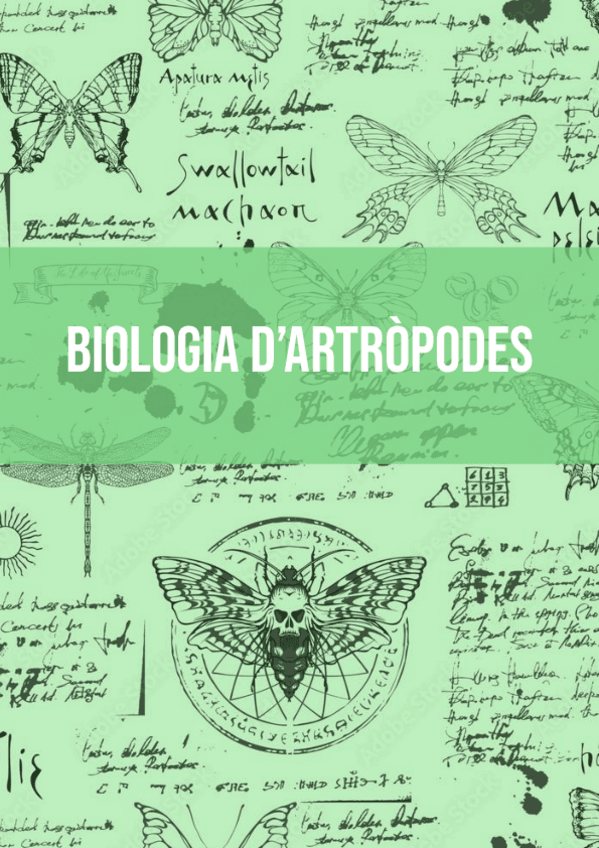 ARTROPODES-TEMES-15-18-Ana-Vilches.pdf