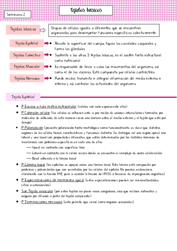 Seminario-2-Tejidos-Basicos.pdf