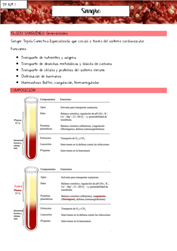 Seminario-7-sangre.pdf