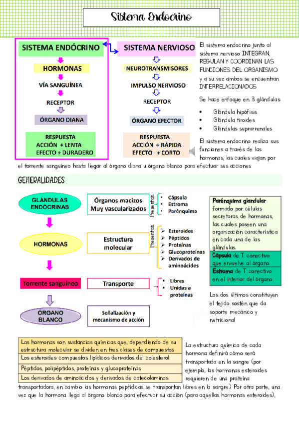 seminario-9-sist-endocrino-final.pdf