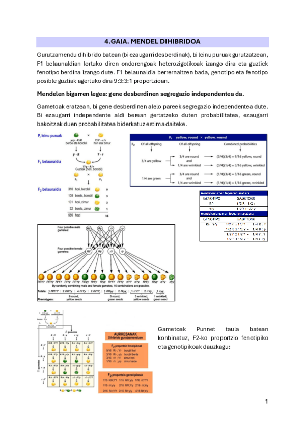 4.-Gaia.pdf