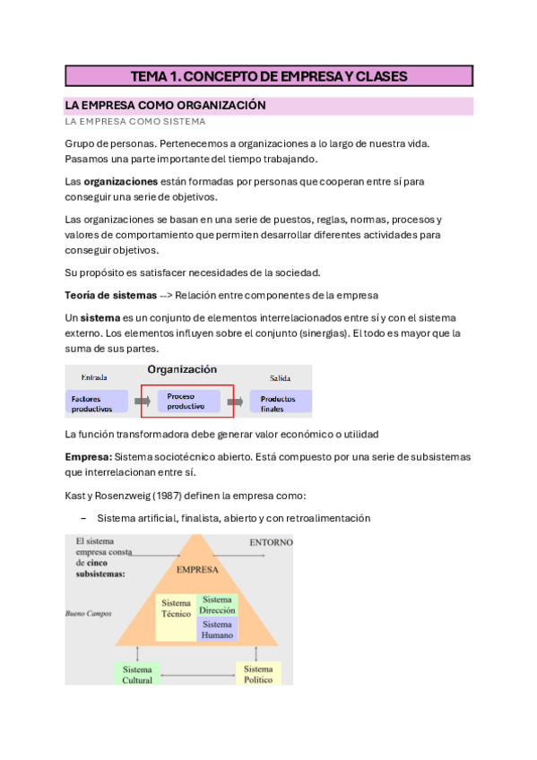 Organizacion-de-empresas-temas-1-8.pdf