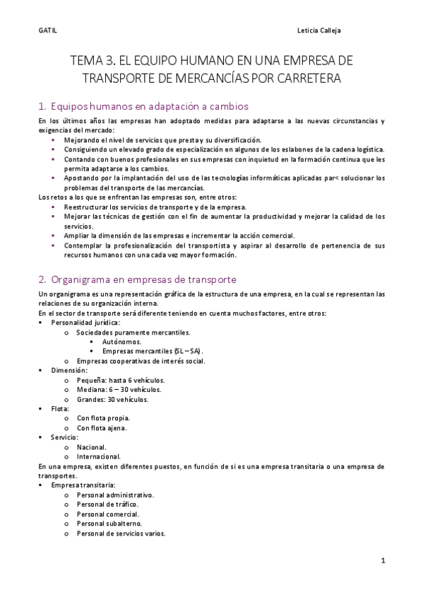 EL-EQUIPO-HUMANO-EN-UNA-EMPRESA-DE-TRANSPORTE-DE-MERCANCIAS-POR-CARRETERA.pdf