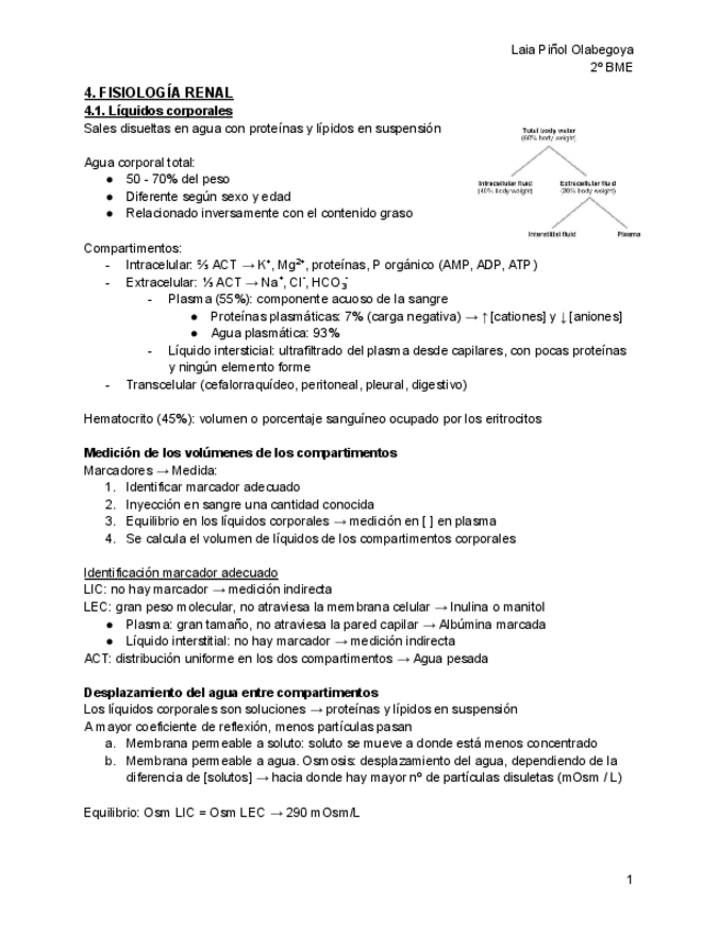 T4.-Fisiologia-renal.pdf