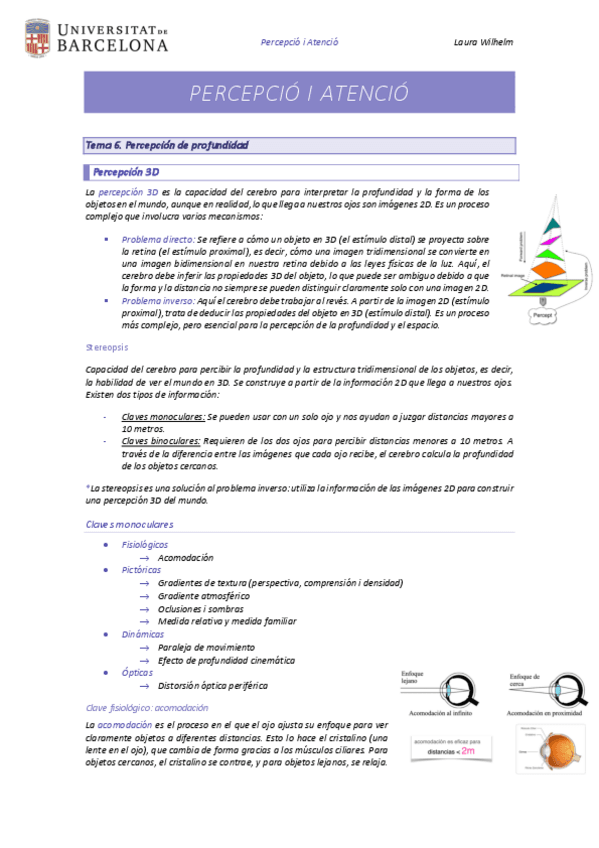 Tema-6-Percepcion-de-profundidad.pdf