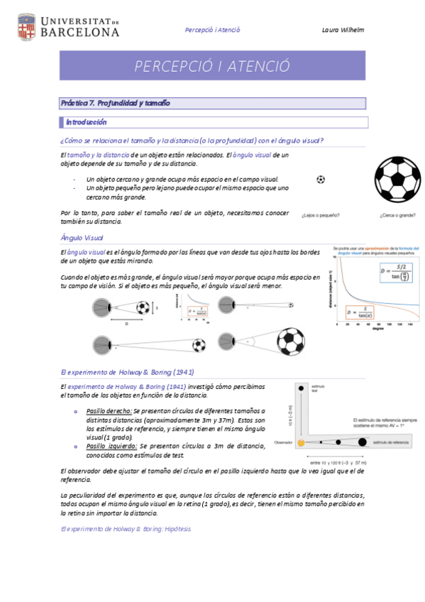 Practica-7-Profundidad-y-tamano.pdf