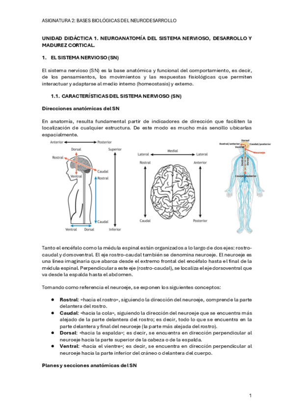 UNIDAD-DIDACTICA-1.pdf