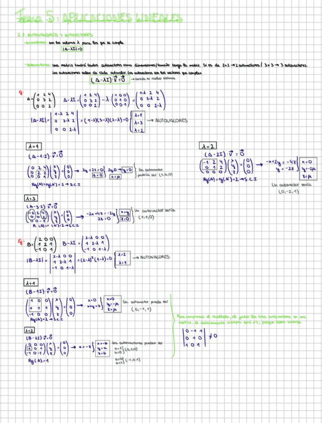 Tema-5-Aplicaciones-lineales.pdf