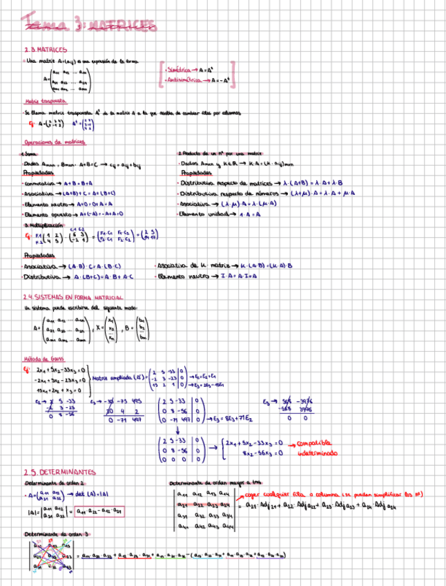 Tema-3-Matrices.pdf