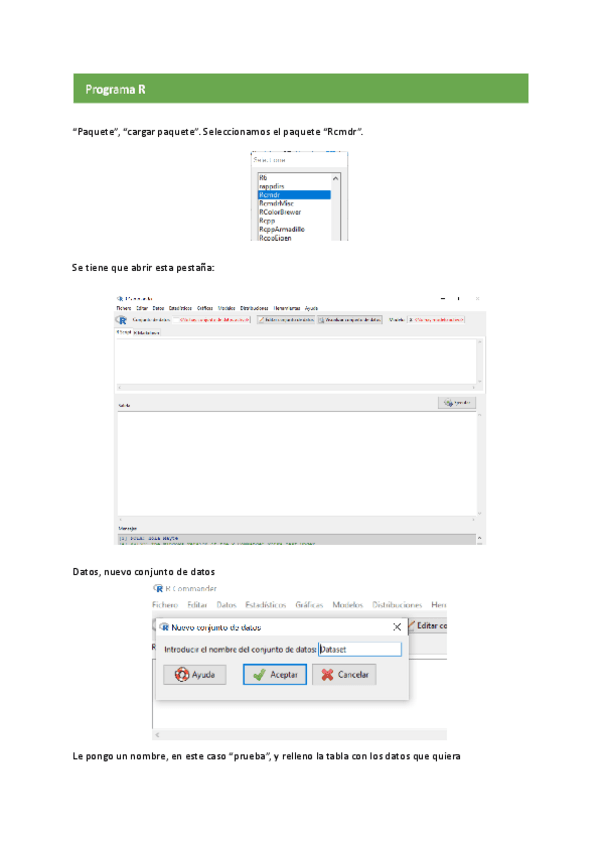 Ayuda-Programa-R.pdf