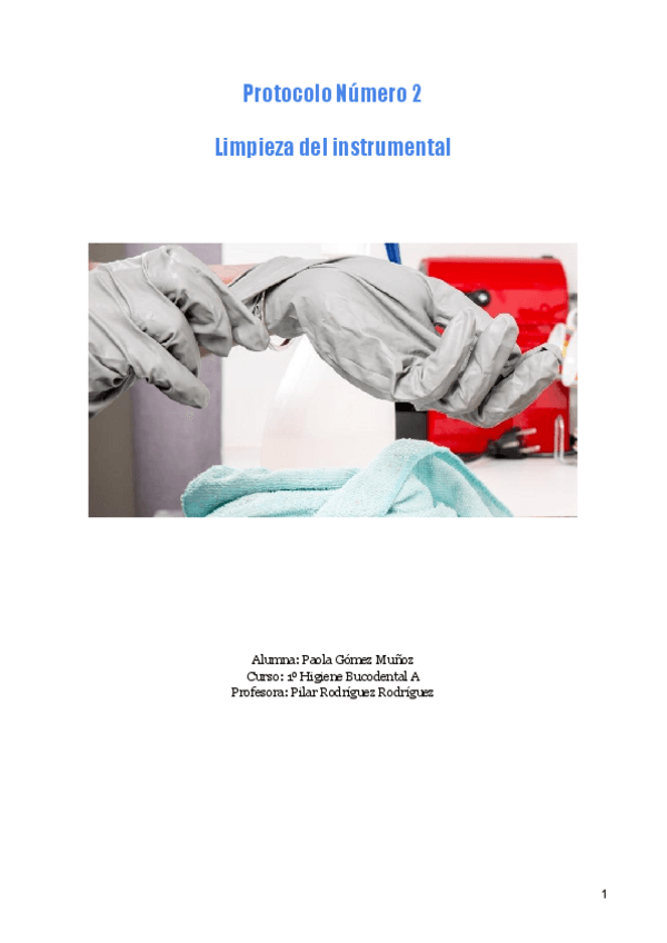 Protocolos-2-34-EXCO.-Paola-Gomez.pdf