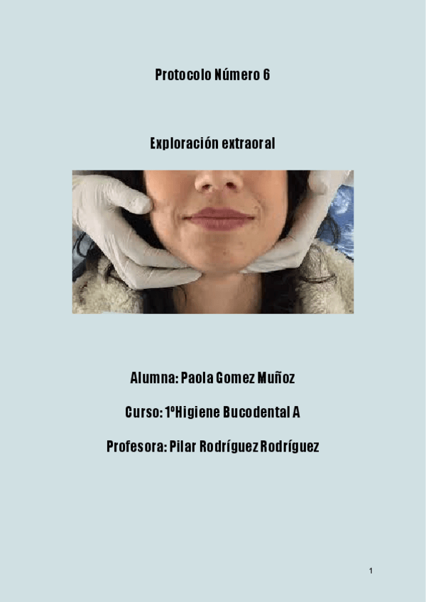 Protocolo-6-EXCO.pdf