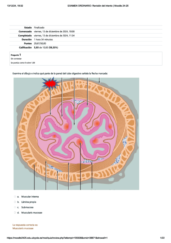 convocatoria-digestivo-24-25.pdf