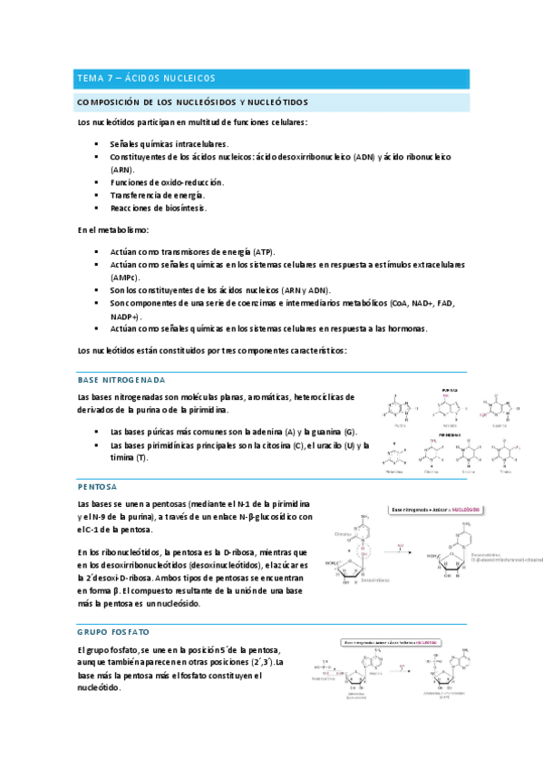 Acidos-nucleicos-Bioquimica.pdf