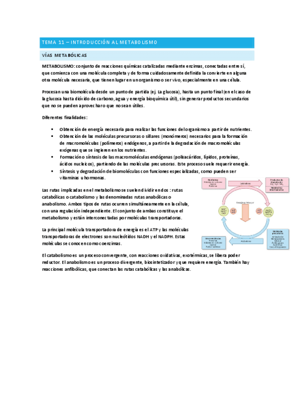 Introduccion-al-metabolismo-Bioquimica.pdf