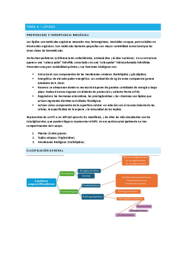Lipidos-Bioquimica.pdf
