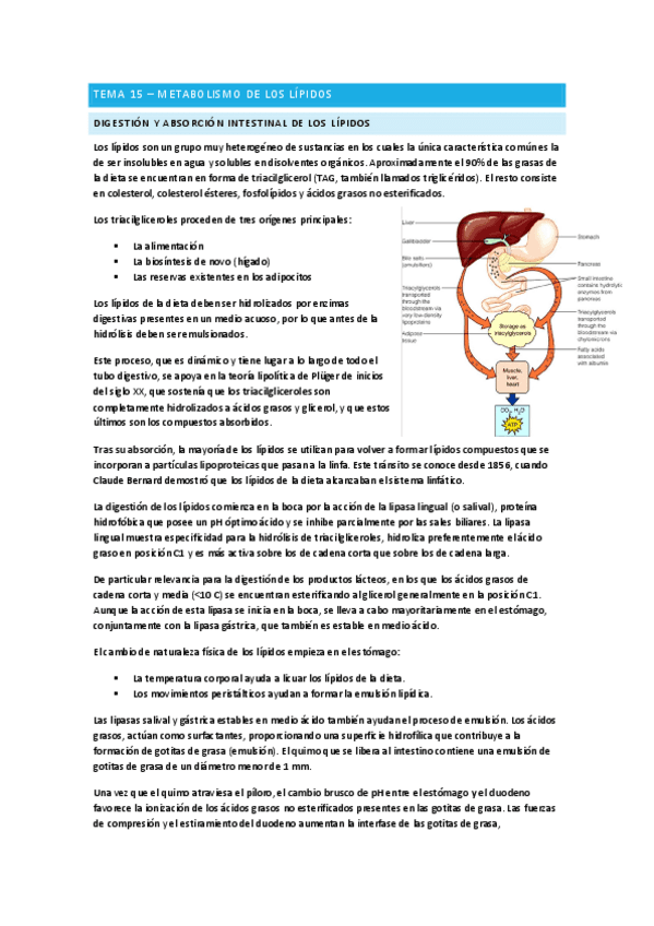 Metabolismo-de-lipidos-Bioquimica.pdf