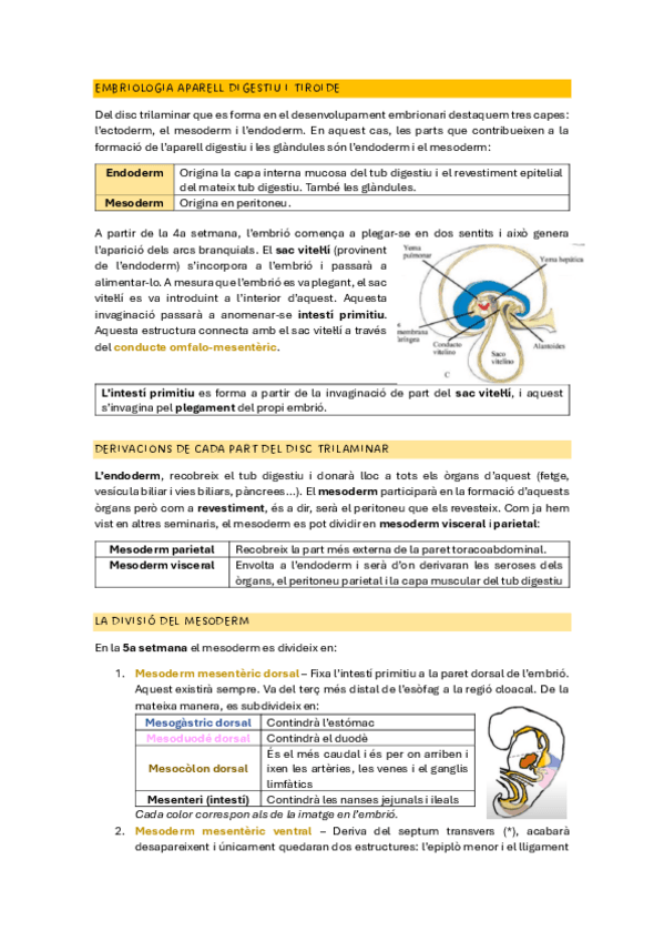 EMBRIOLOGIA-APARELL-DIGESTIU-I-TIROIDE.pdf