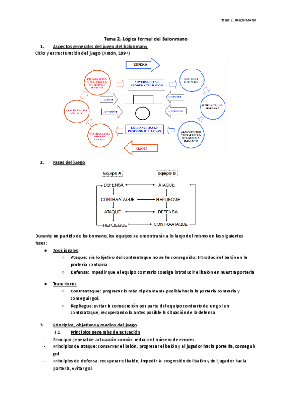 Tema-2.-Logica-Formal-del-Balonmano.pdf