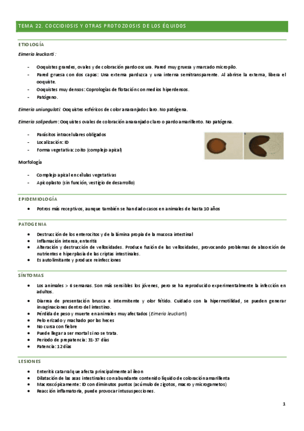 EQUIDOS-PARASITARIAS-MIGUEL-2024.pdf