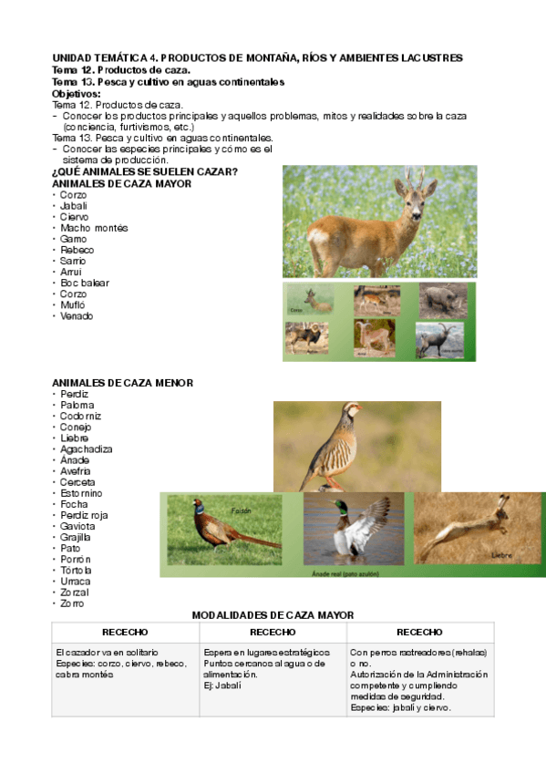 TEMA-12-y-13.-POA.pdf