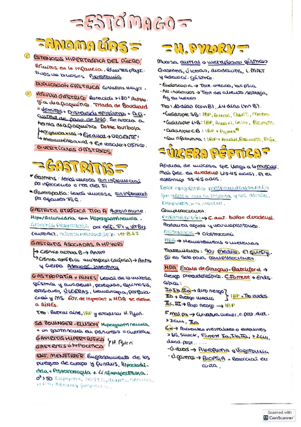Estomago.pdf