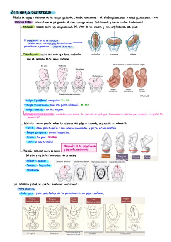 Resumen-seminarios-obstetricia-y-genetica.pdf